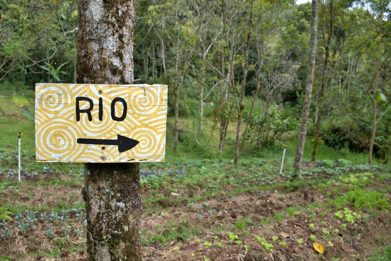 圣拉菲尔Ritmo Del Rio别墅 外观 照片